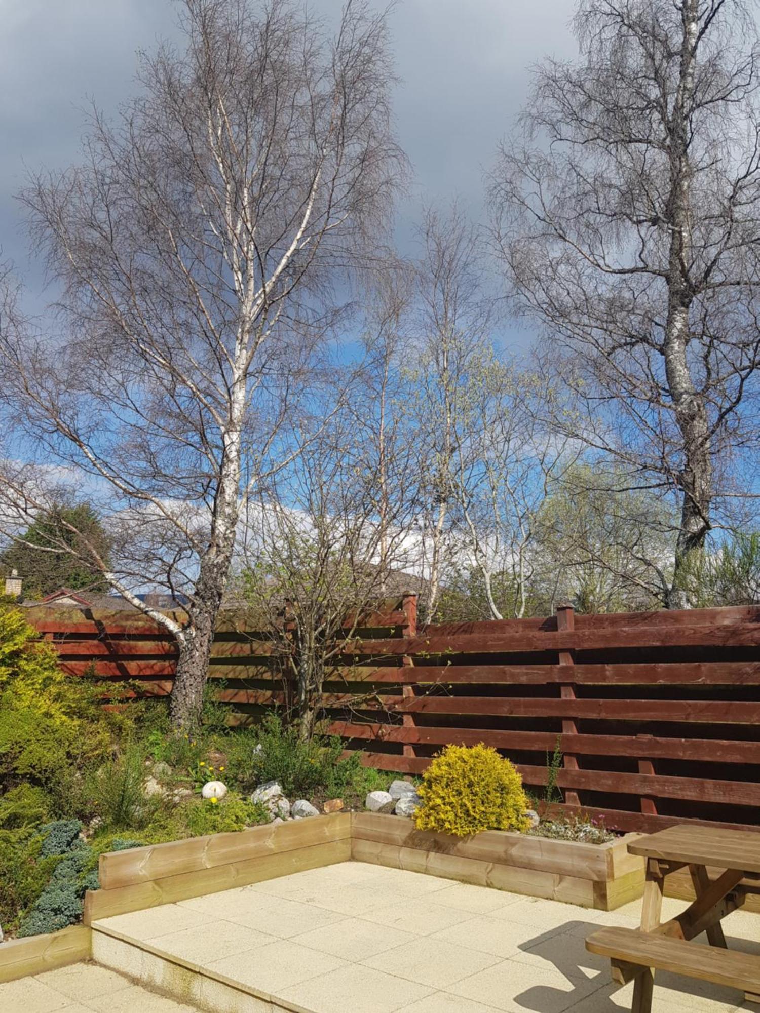 Orange Squirrel Lodge Aviemore Ngoại thất bức ảnh