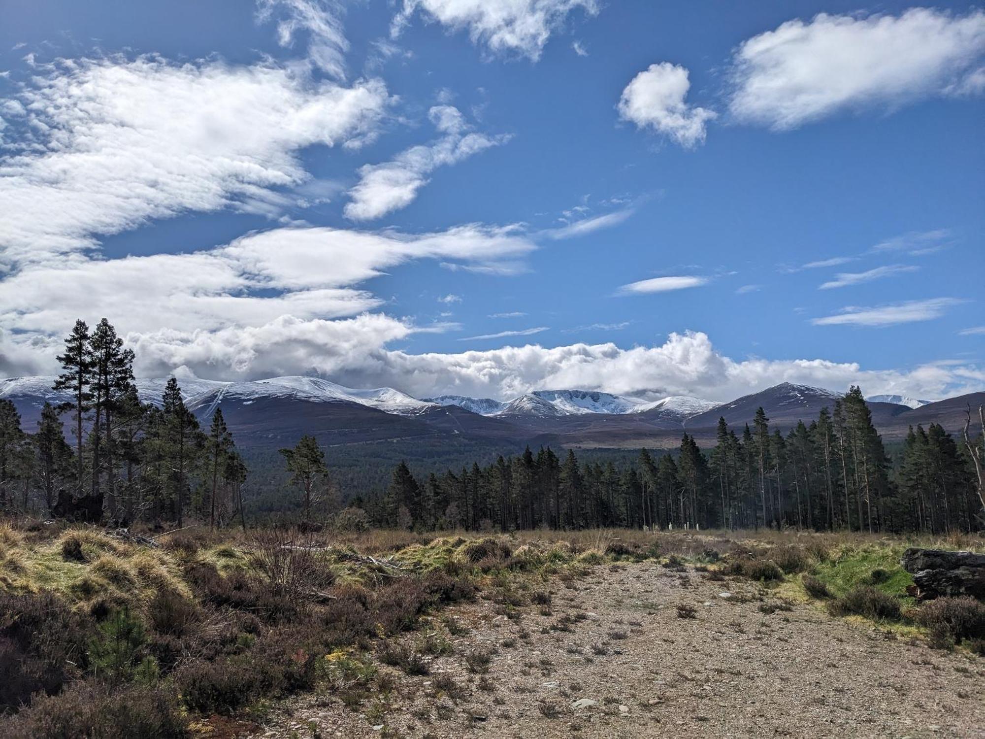 Orange Squirrel Lodge Aviemore Ngoại thất bức ảnh